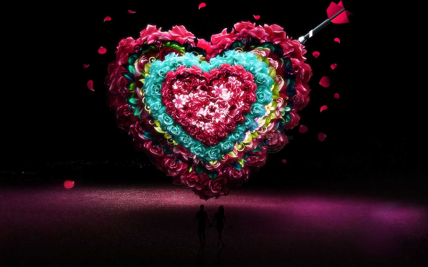 Valentine Day Love Rose Flower HD Wallpaper
