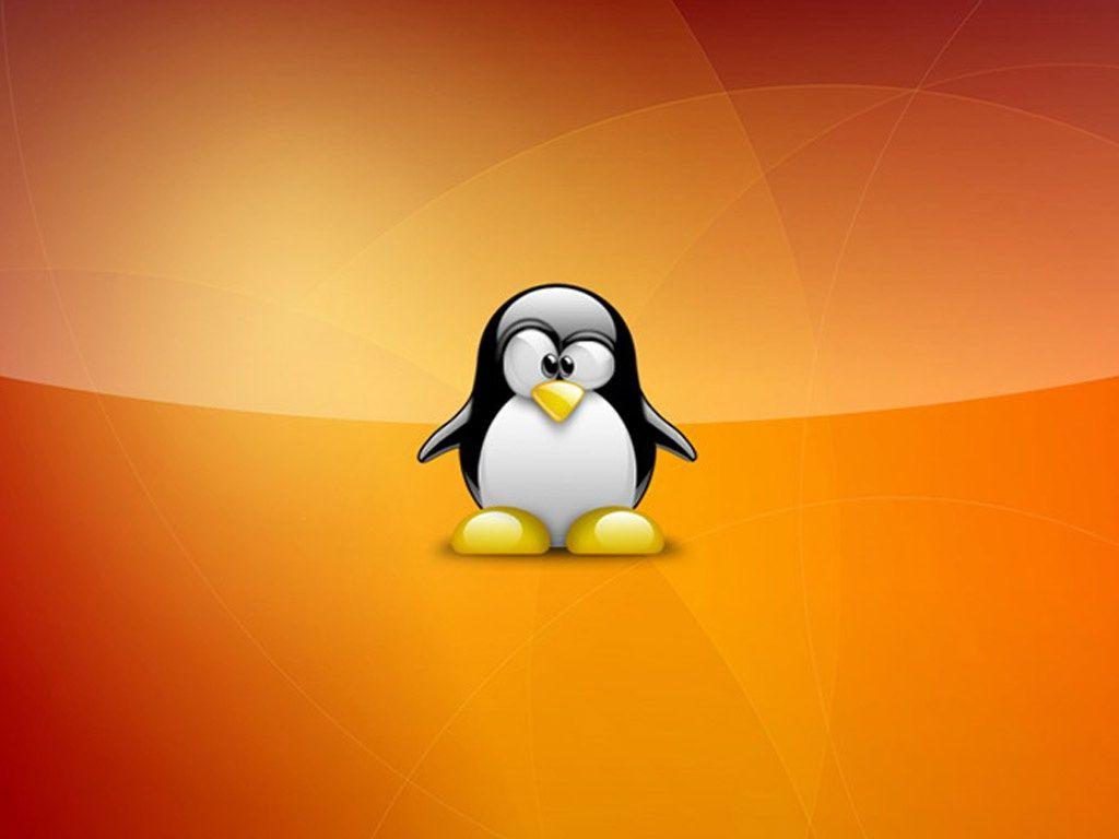 Linux Penguin Wallpaper. coolstyle wallpaper