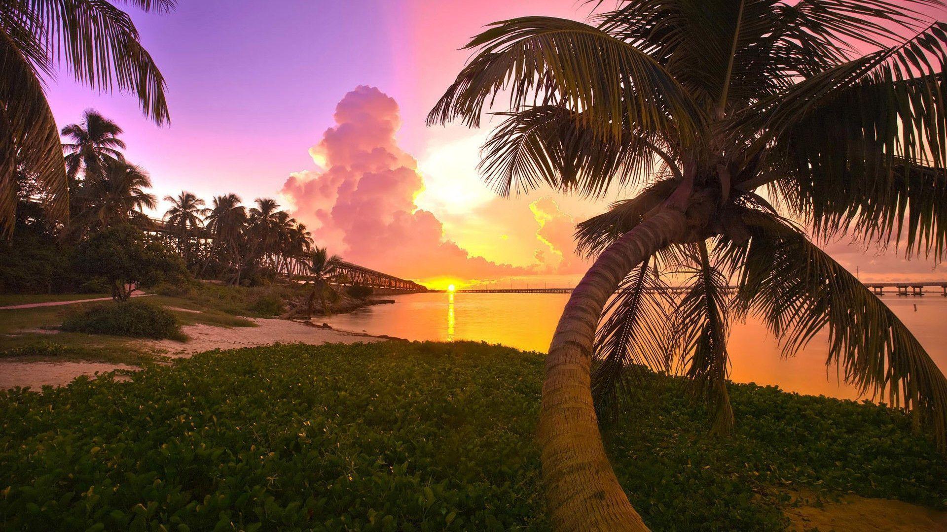 Tropical Sunset wallpaper