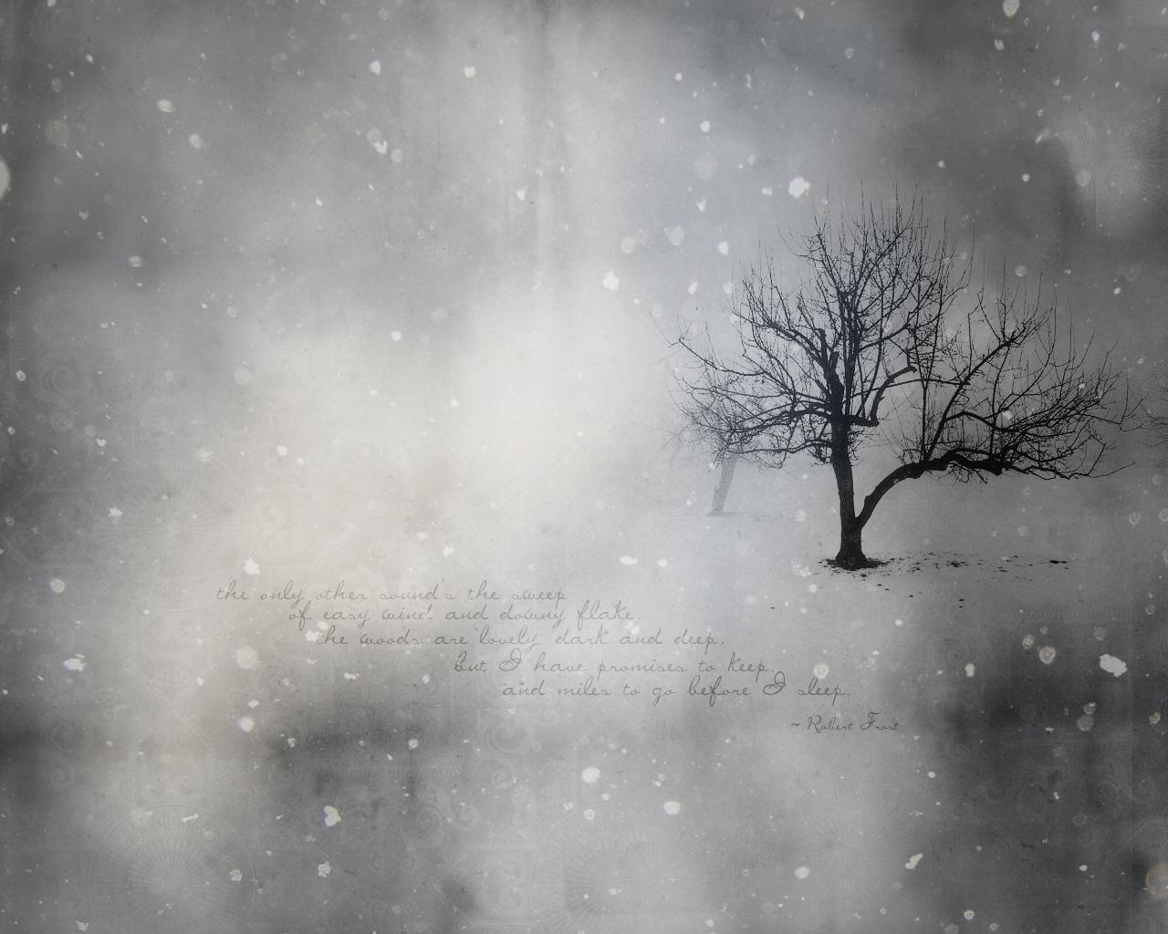 Pix For > Winter Tree Wallpaper