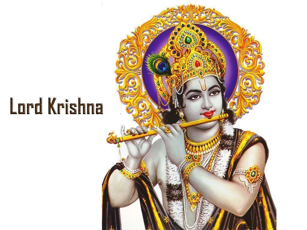God Wallpaper Krishna. Hot HD Wallpaper 2015