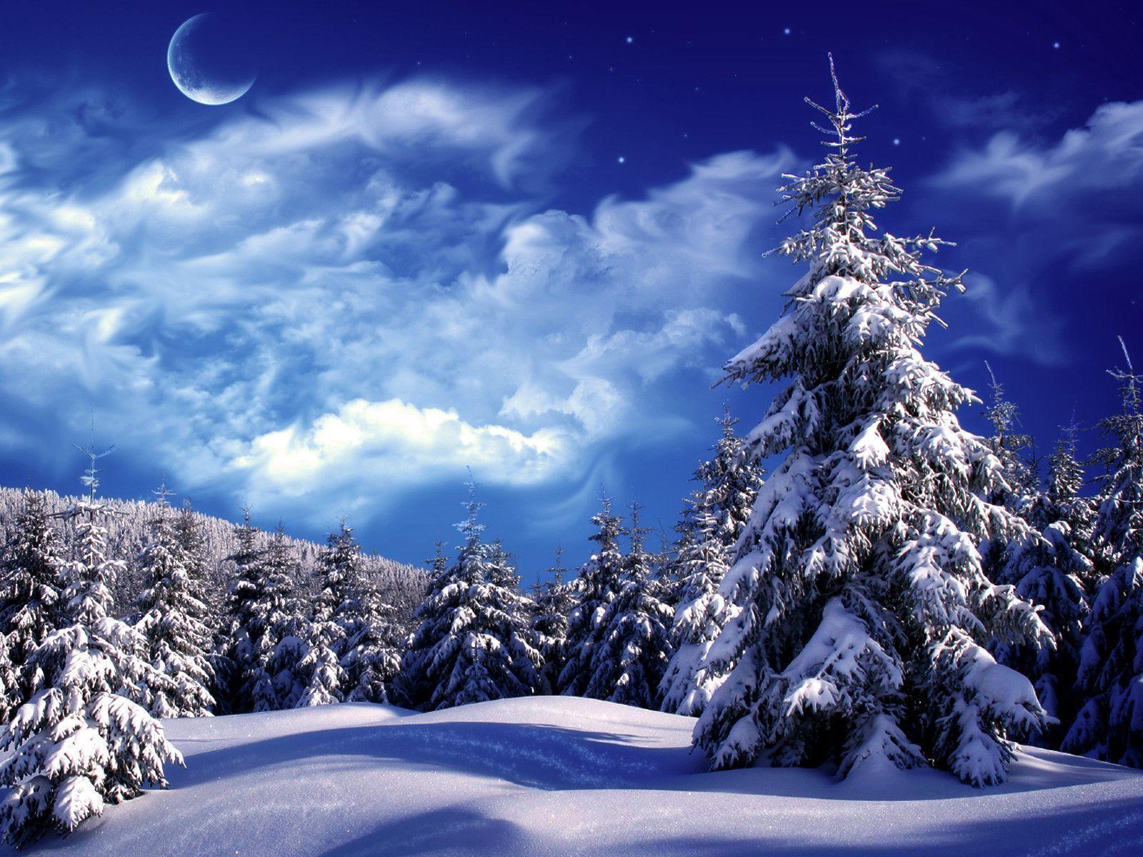 Pix For > Christmas Winter Wonderland Background