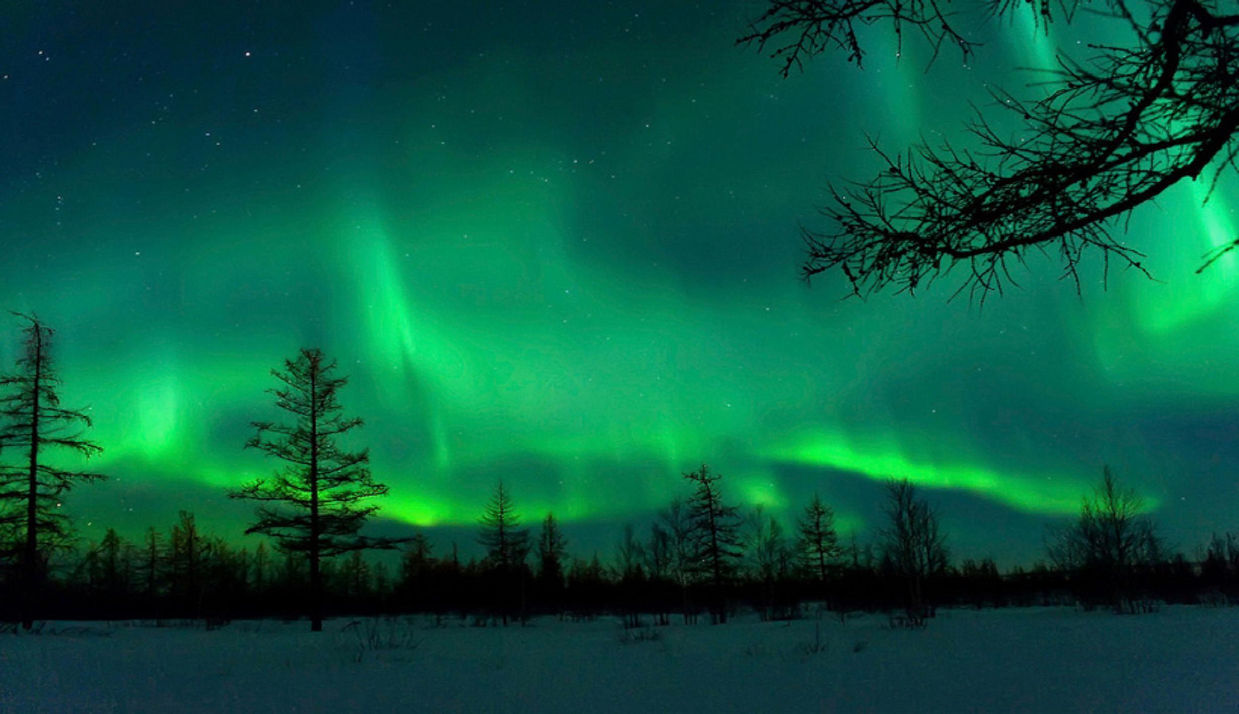 Night Aurora Borealis Auroras Wallpaper HD Free Wallpaper