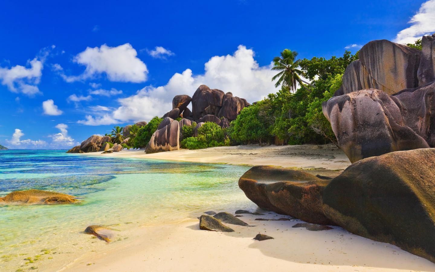 Free Download tropical beach background HD background desktop
