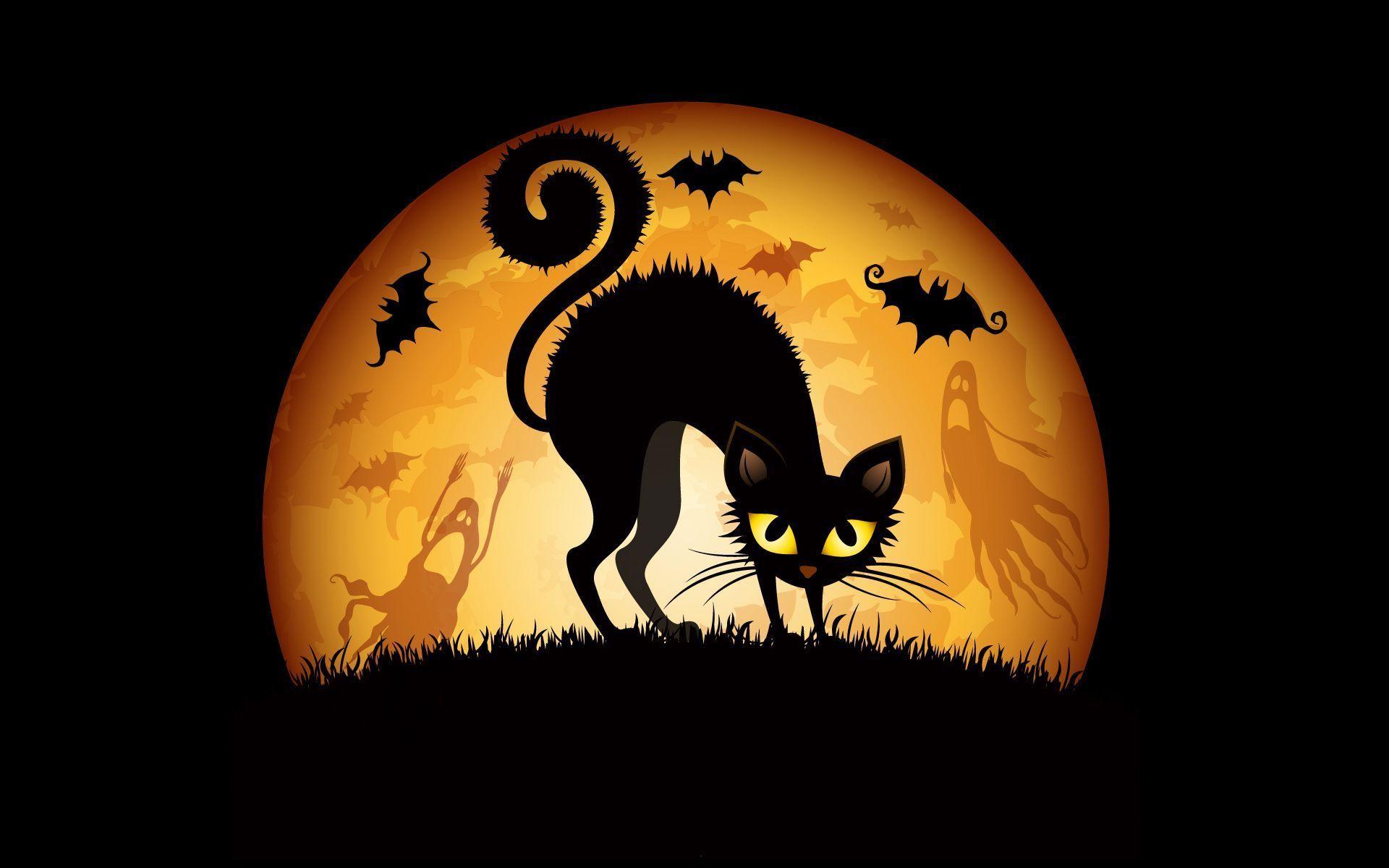 image For > Cute Halloween Cat Background