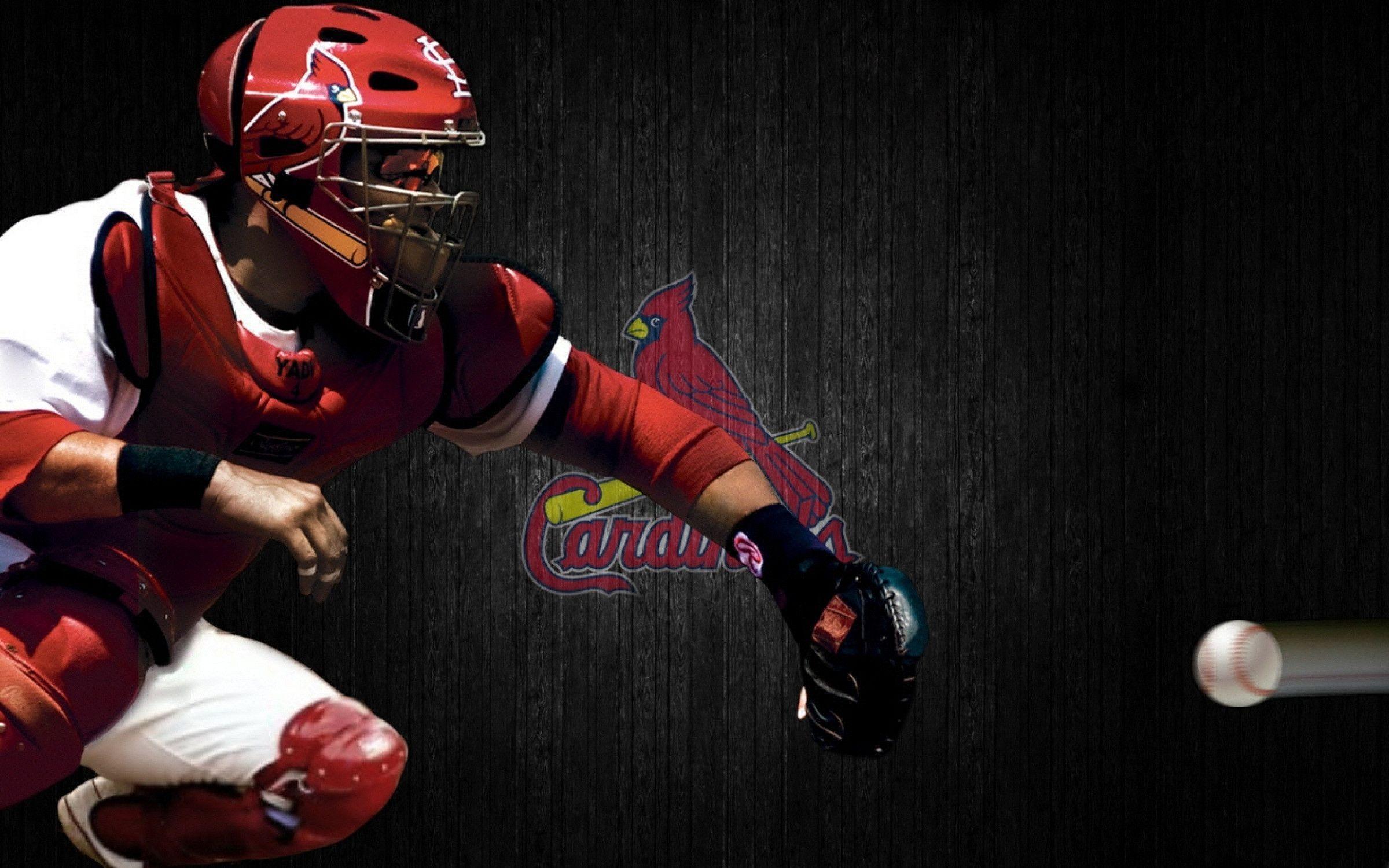 Yadier Molina St. Louis Cardinals Wallpaper HD MLB Wallpaper