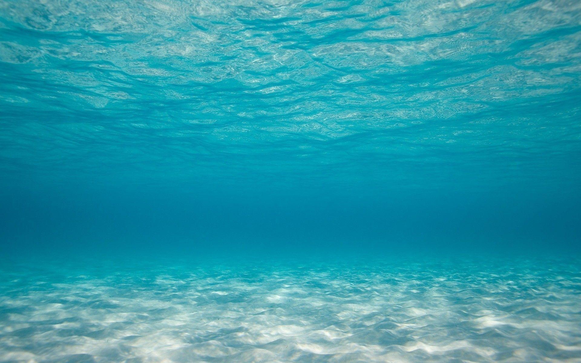 Sea Underwater Picture Wallpaper