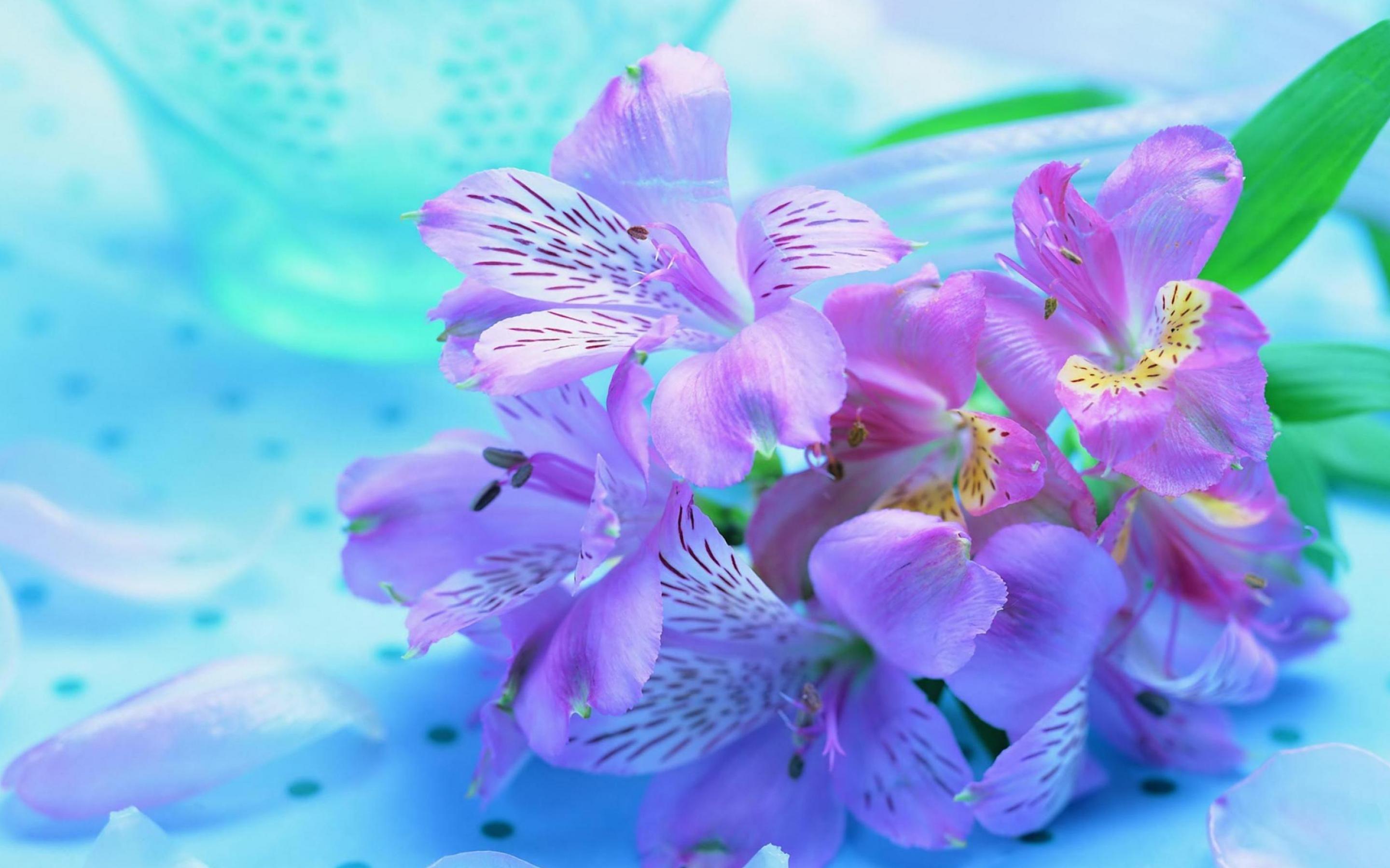 The Allure Of Purple Flowers