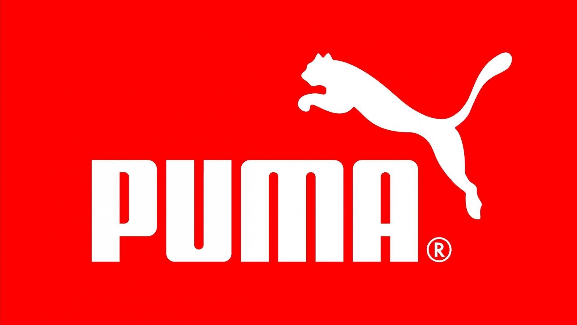 Puma Wallpaper 16477 1920x1080 px