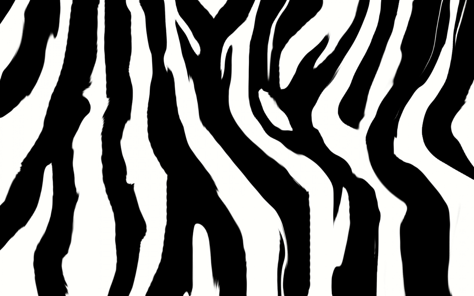 zebra print animals image picture p os dog cat wallpaper