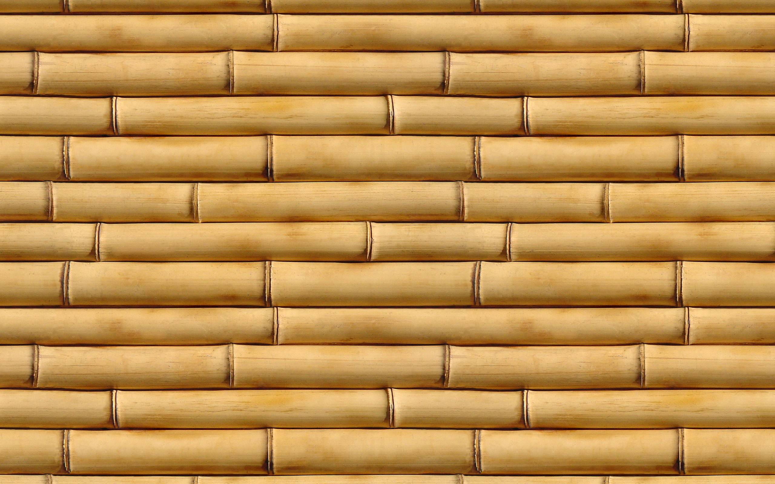 Bamboo Wallpaper