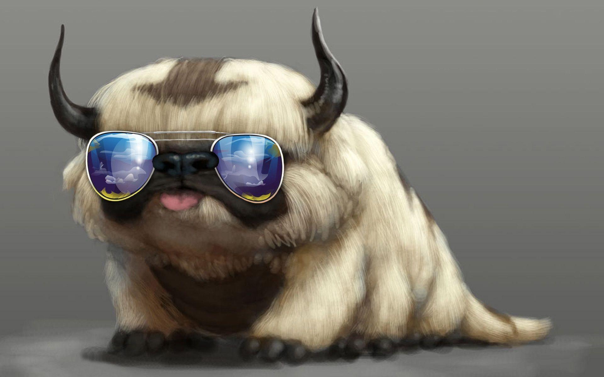 Ugly Pug Dog with Fashion Free and Wallpaper