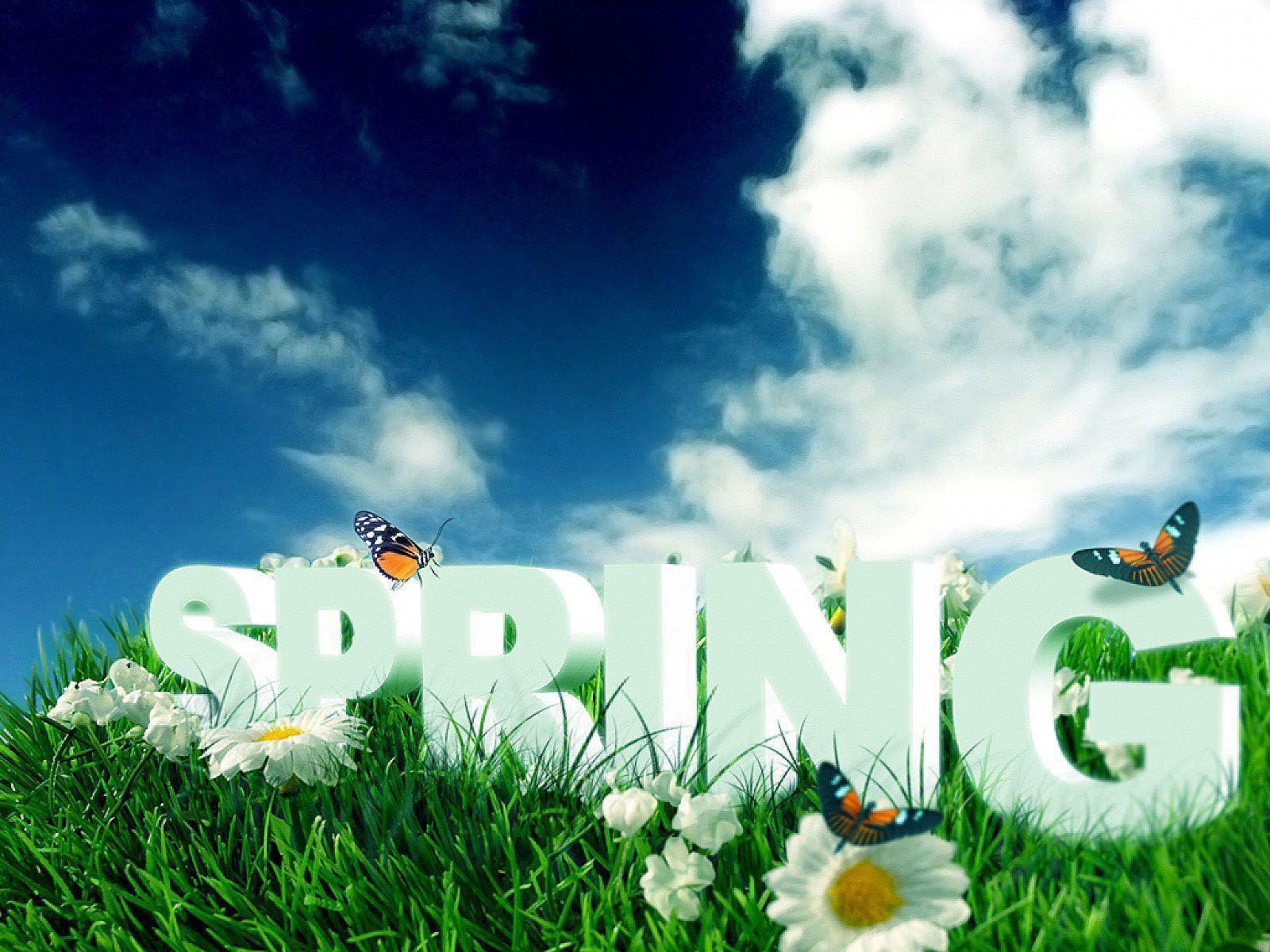 Background Spring 34021 HD Desktop Background and Widescreen