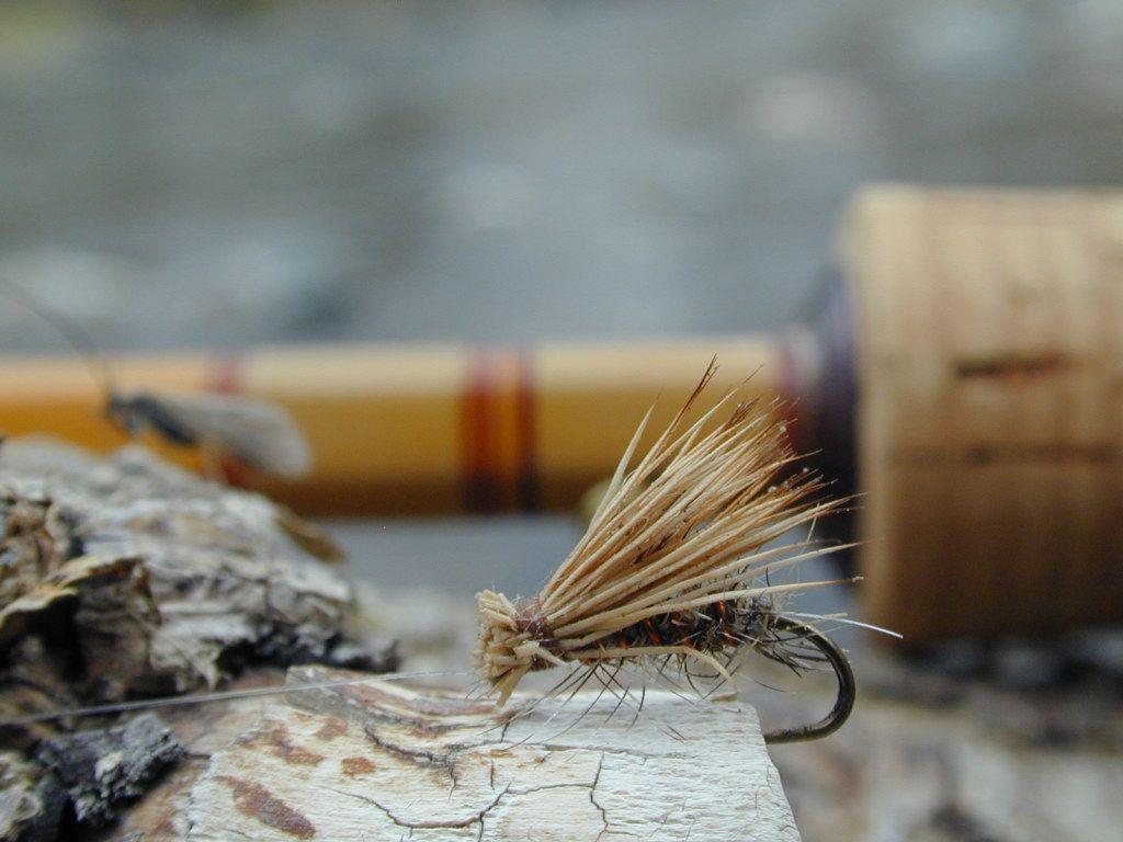 Fly Fishing Wallpaper 8