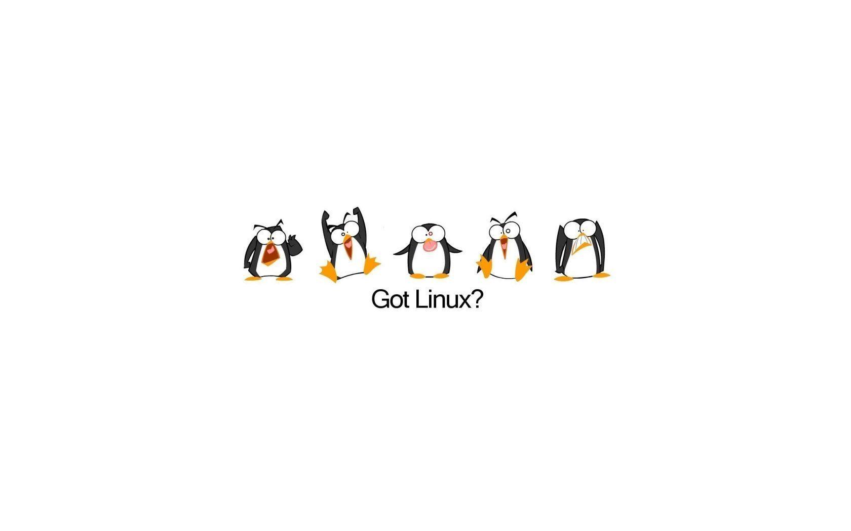 Linux Penguin Wallpaper On Linux Penguin Fly Swatter Wallpaper iPhone