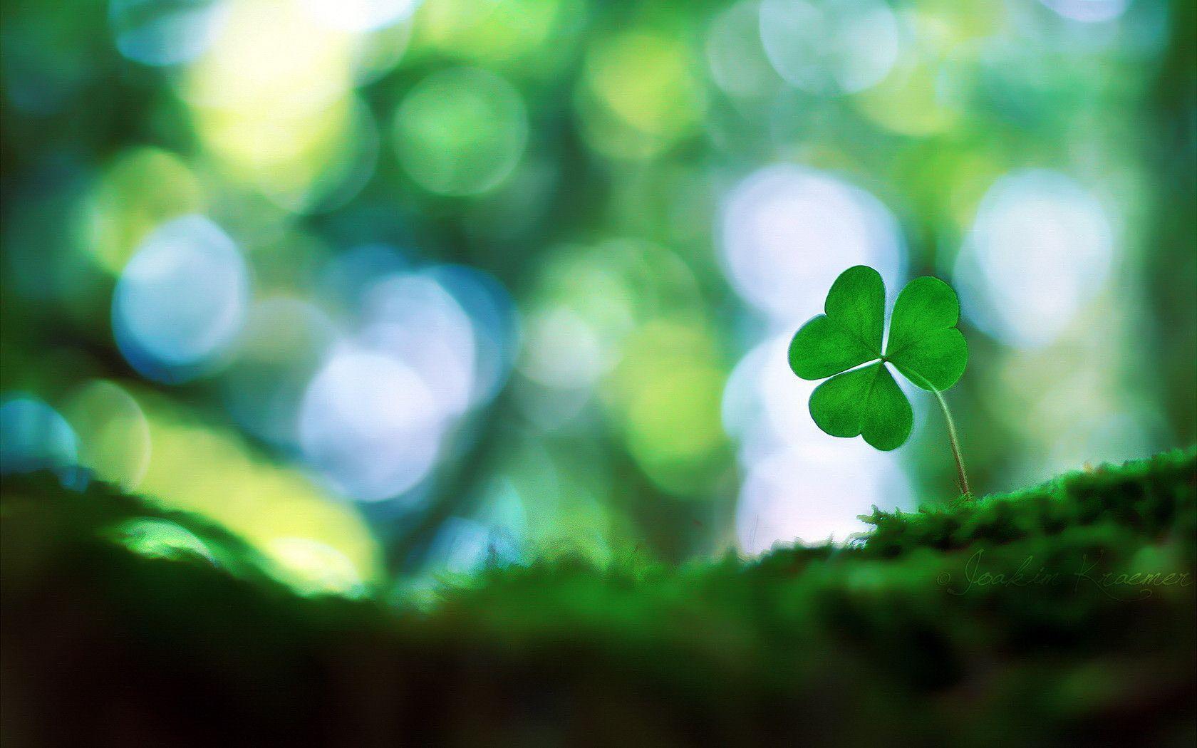 Shamrock Backgrounds Free Wallpaper Cave