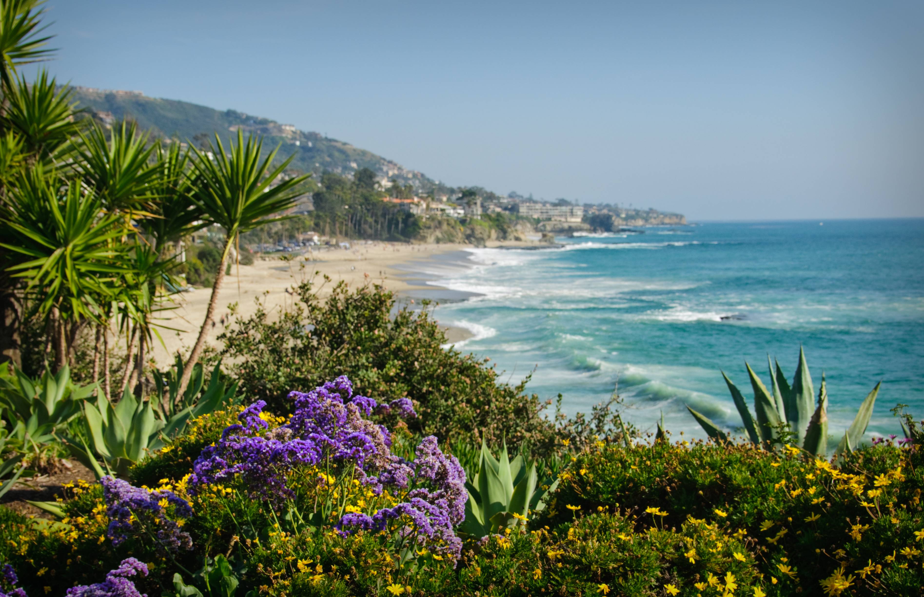 Laguna Beach Can Change Desktop Background Windows 8.1. woliper