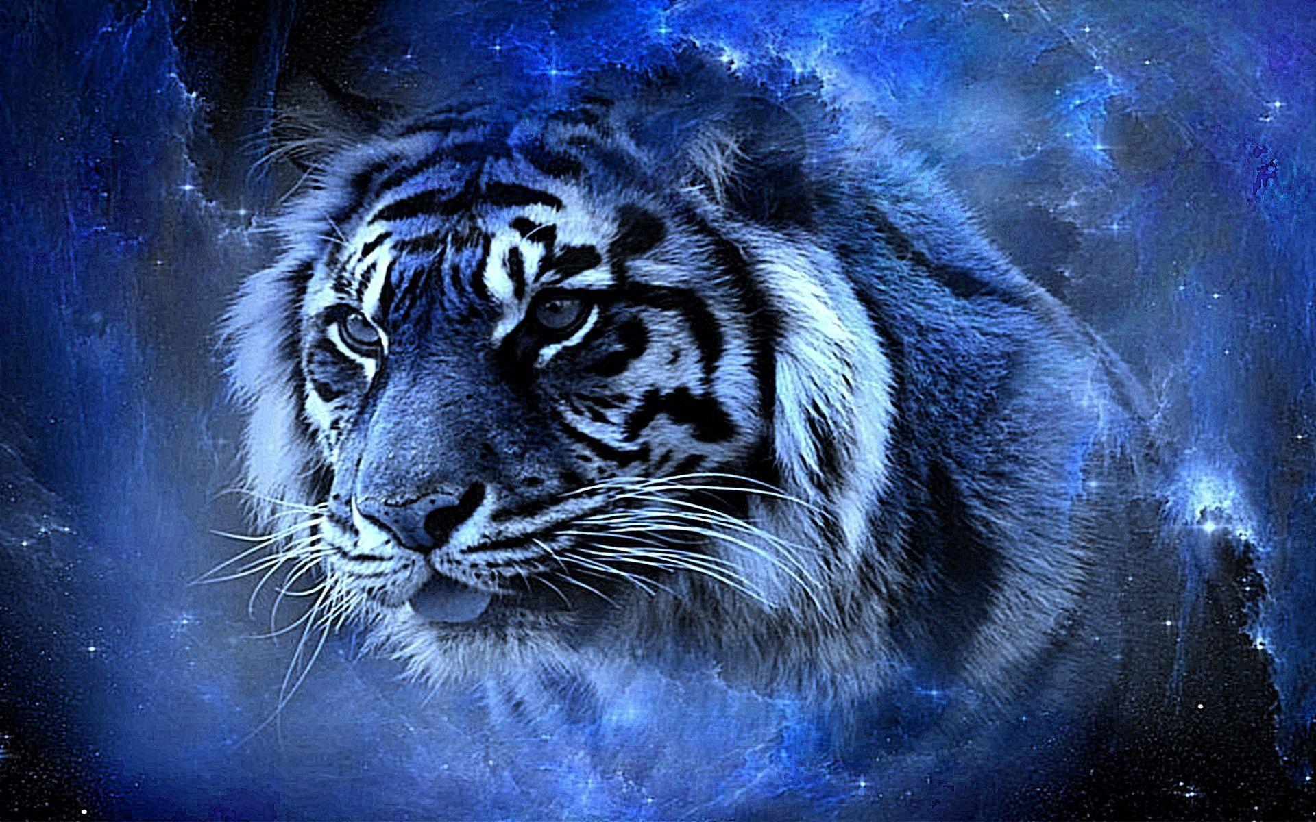 Cool Tiger Backgrounds - Wallpaper Cave - photo#4