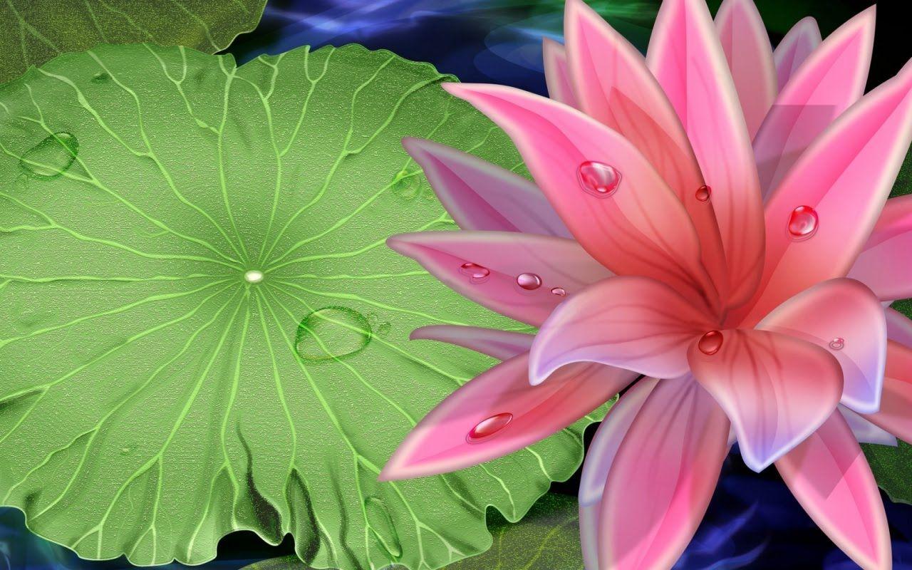 Pink Beauty Lotus Flower Desktop Wallpaper Download Free
