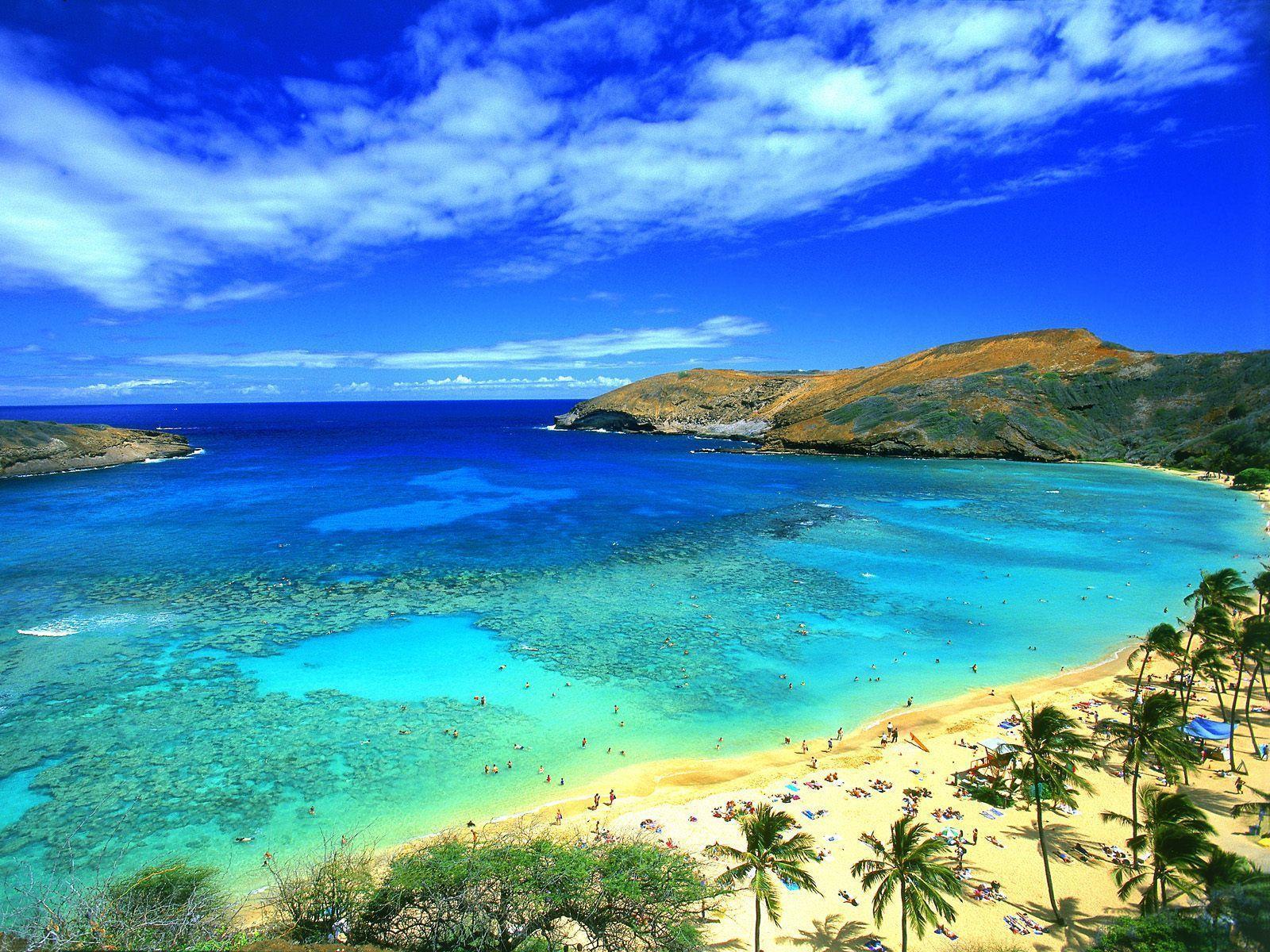 Hanauma Bay Oahu Hawaii Wallpaper Image featuring Beaches