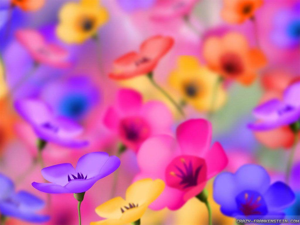 Colorful Flowers Wallpaper Wallpaper Inn