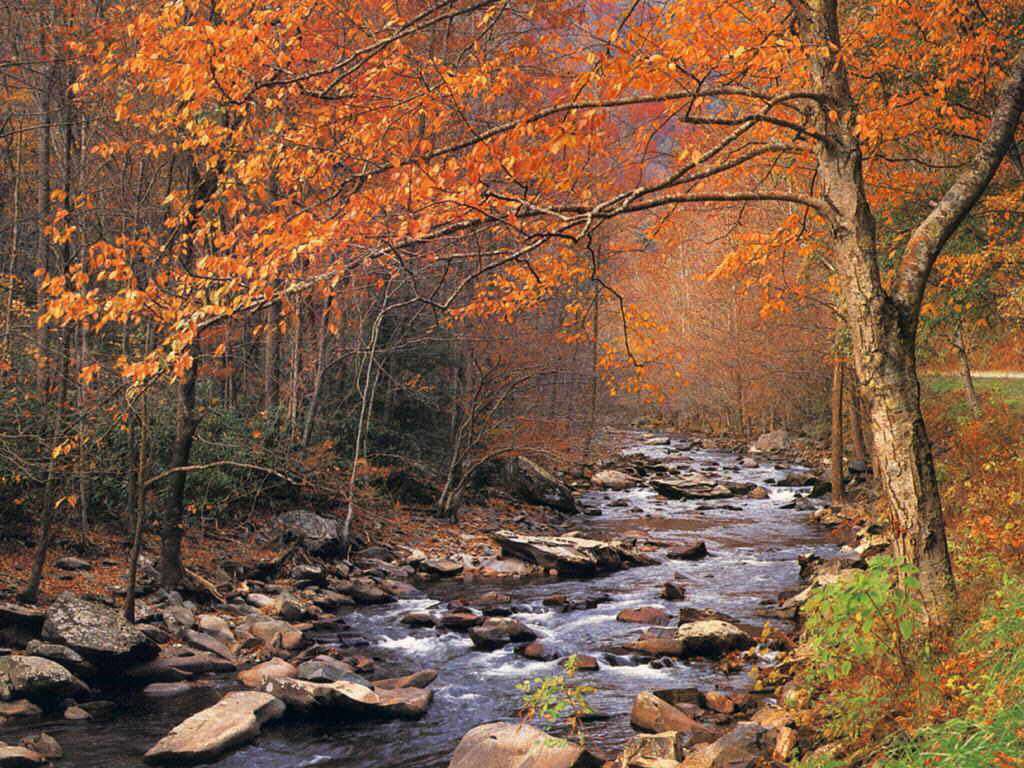 紅葉と渓谷 スマホの待ち受け画面やpcの壁紙に使える秋の無料画像 Naver まとめ