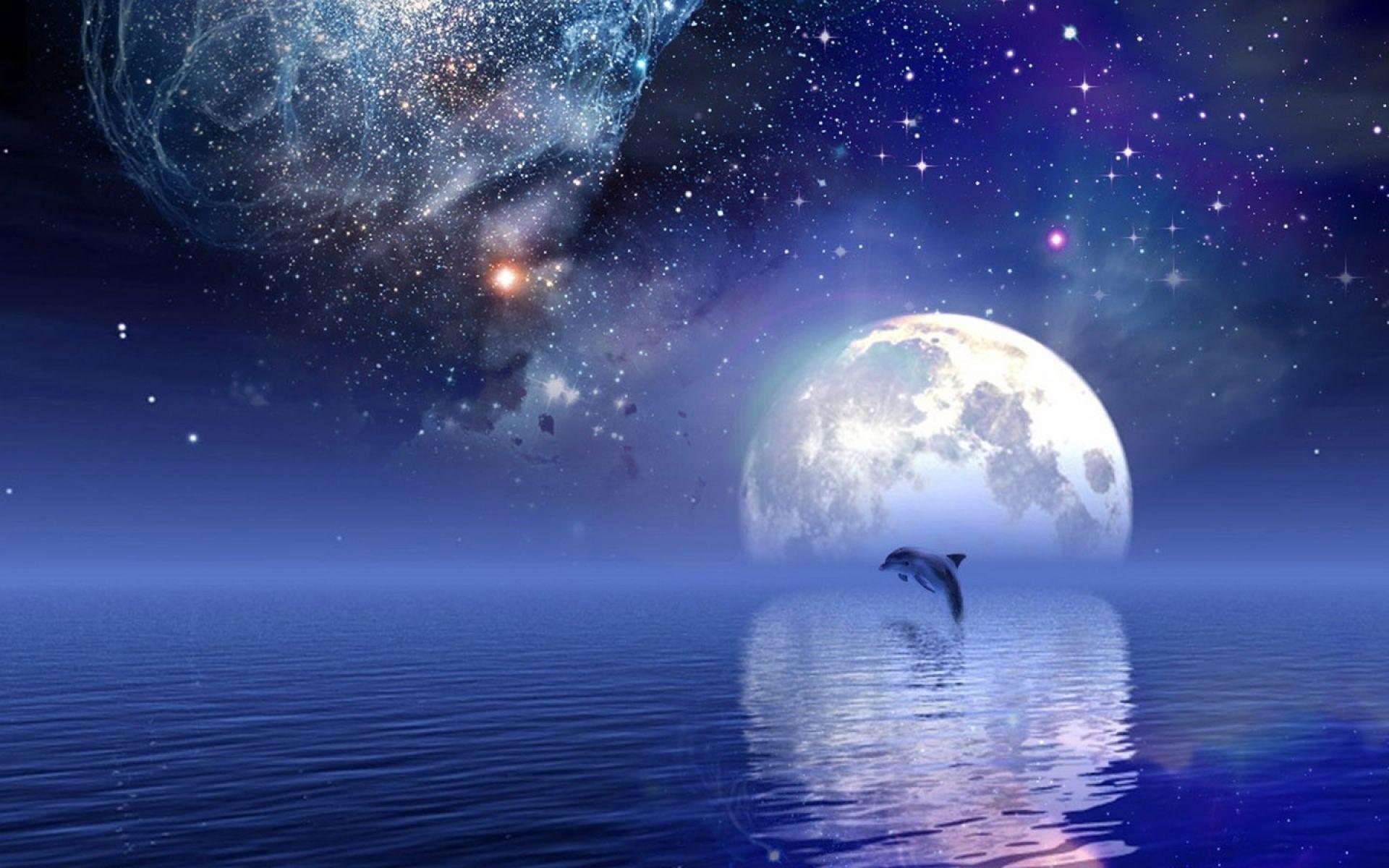 Dolphins Moonlight Lake Wallpaper 1920x1200 px Free Download