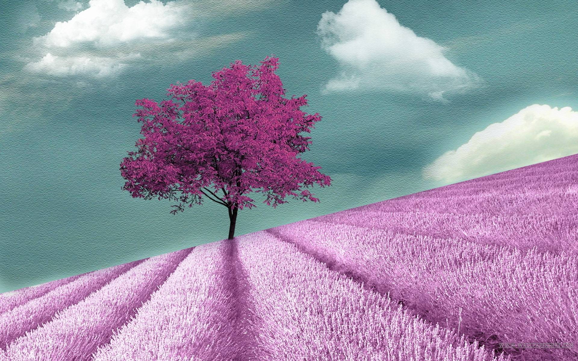 Purple Trees Full HD Desktop. High Definition Wallpaper