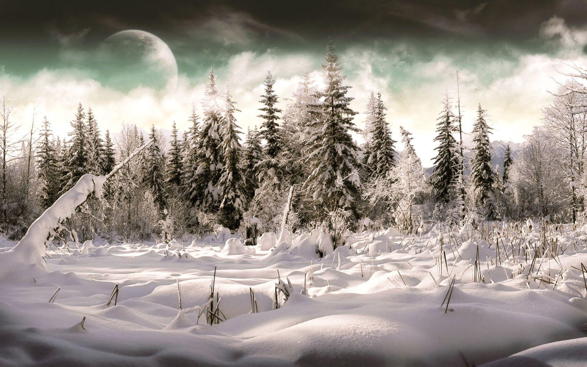 Winter Holiday Wallpaper for Your Desktop