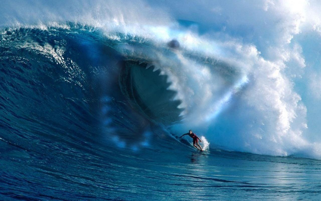 image For > Surfer Wallpaper