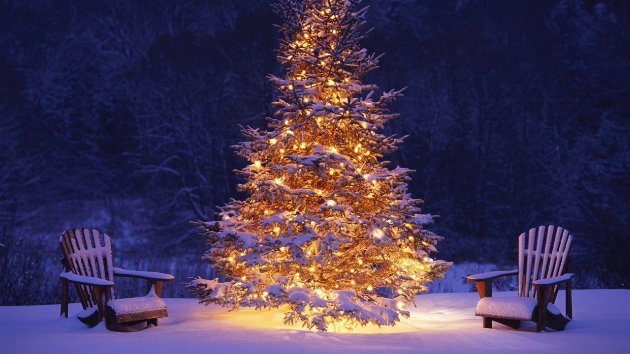 Read Online 1280x720 Christmas Tree In Snow Wallpaper Download