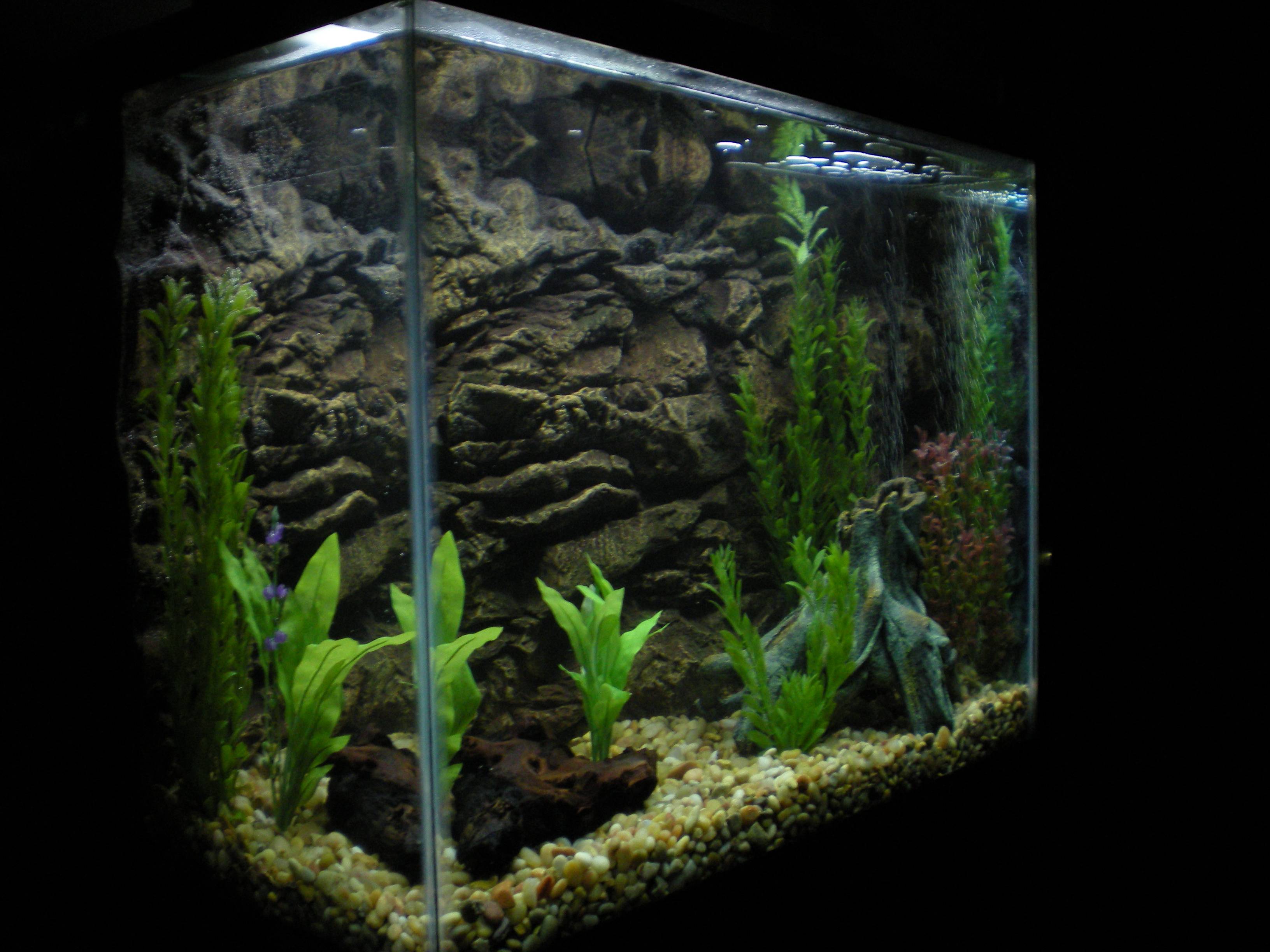 Aquarium Backgrounds Pictures Wallpaper Cave