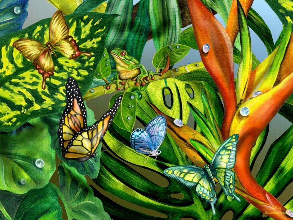 rainforest wallpaper (14). HD Wallpaper Online