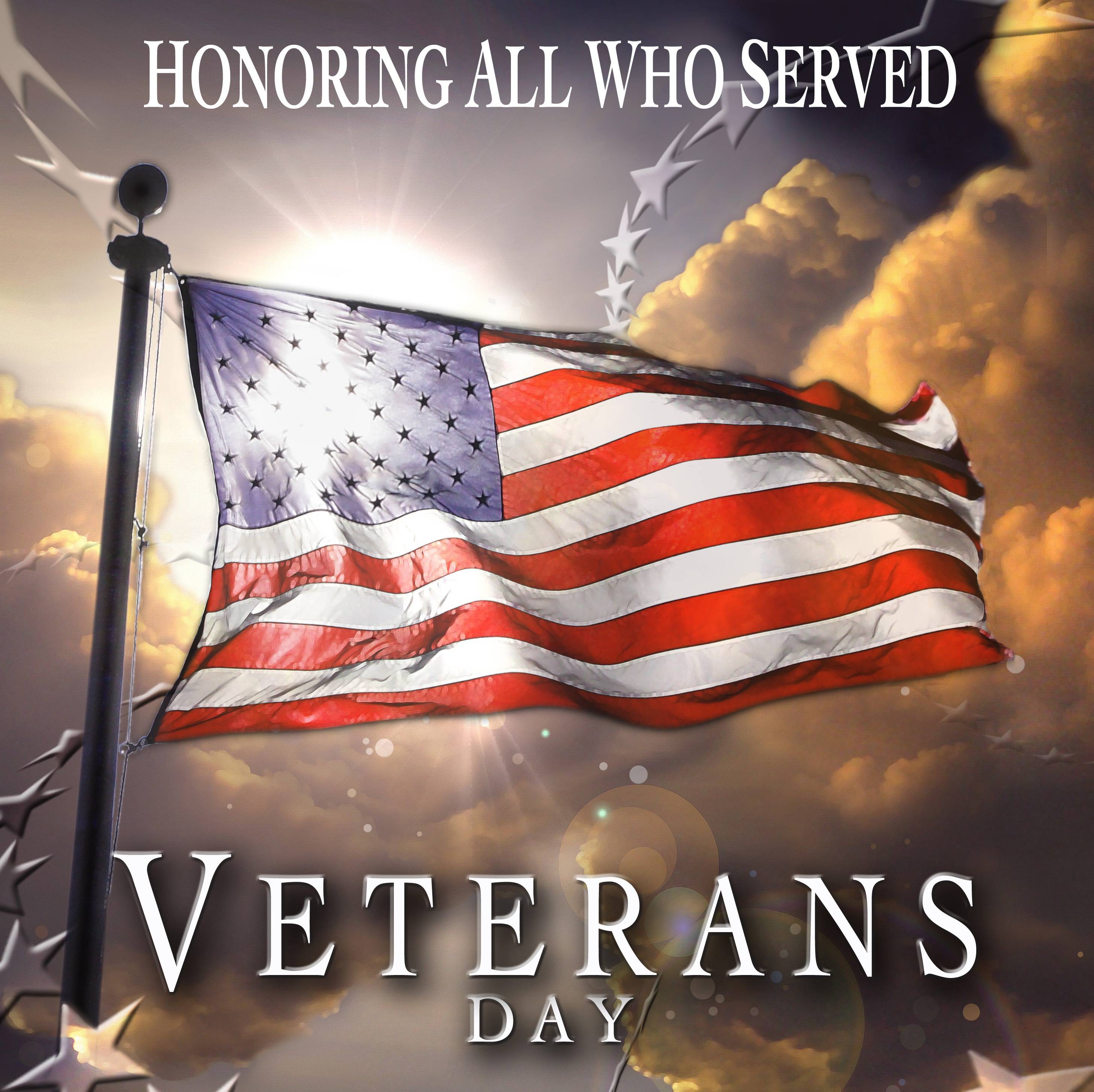Veterans Day 2014 Poster 5