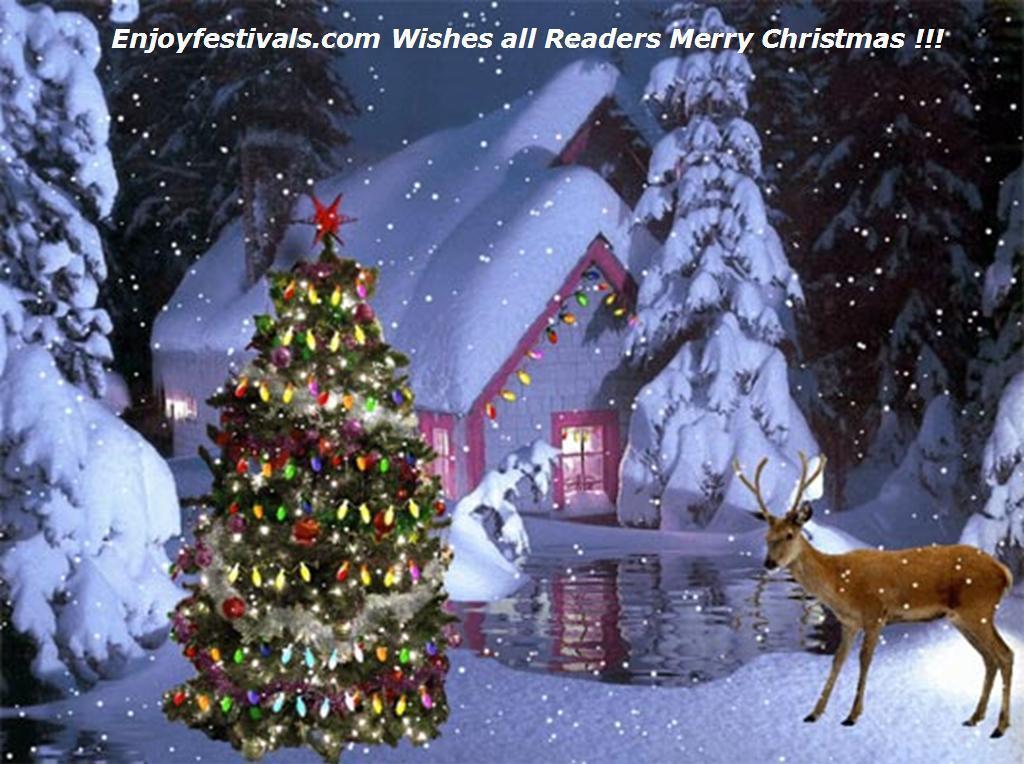 Real Christmas Tree Desktop Wallpaper