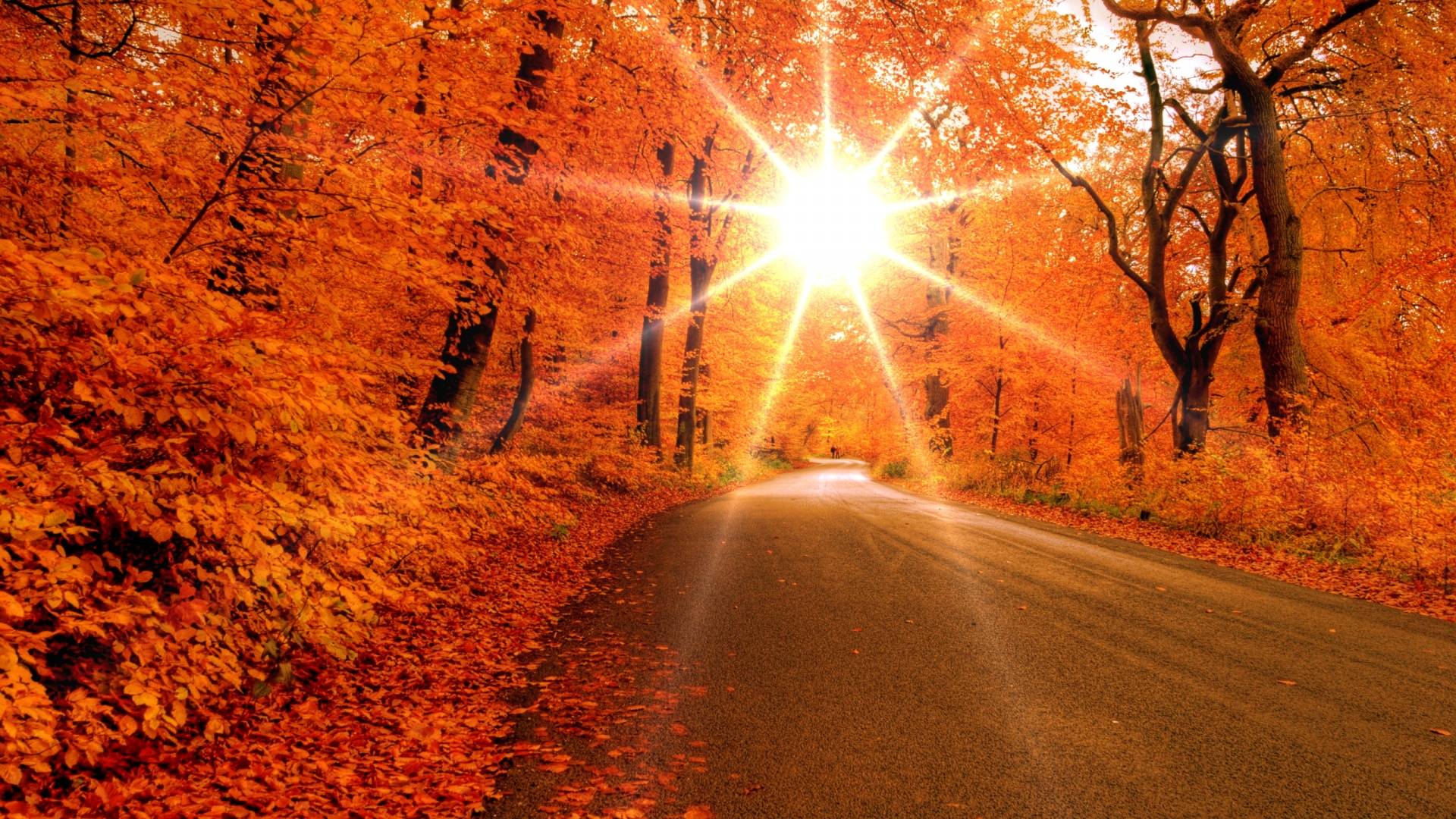 Autumn Sunrise Wallpaper Desktop Wallpaper. High Resolution