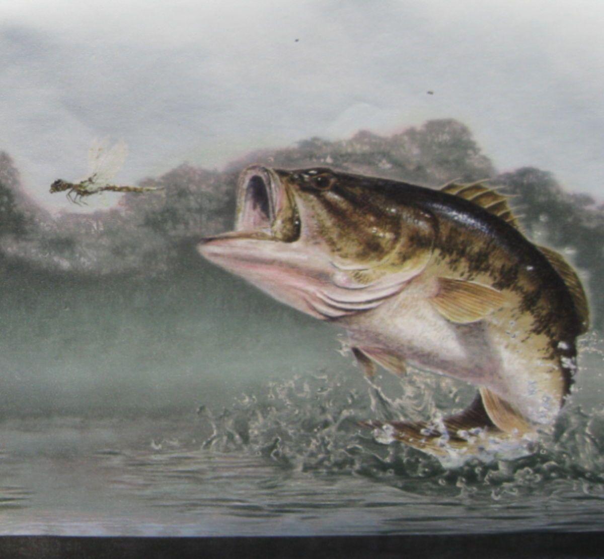 Wallpaper For > Largemouth Bass HD Wallpaper For Desktop