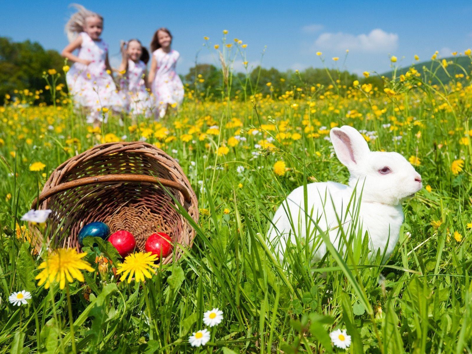 Eggs, rabbit and kids desktop PC and Mac wallpaper