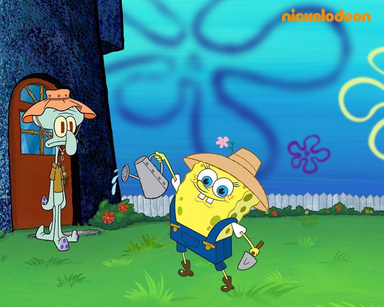 Spongebob & Squidward Squarepants Wallpaper 31281673