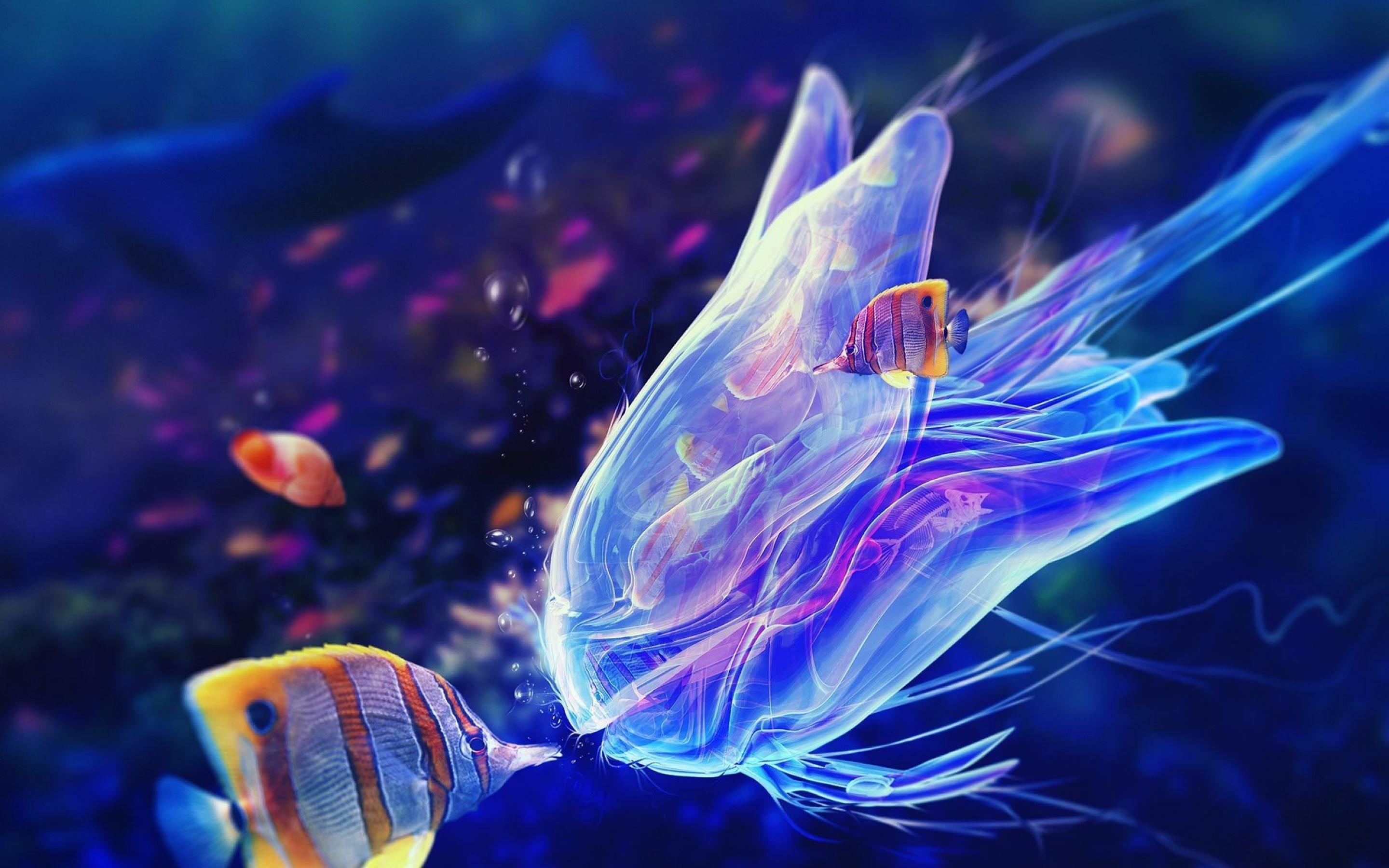 Jellyfish Wallpapers - Wallpaper Cave