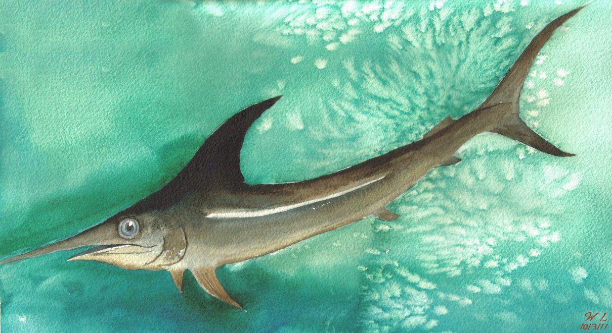 Watercolor Swordfish