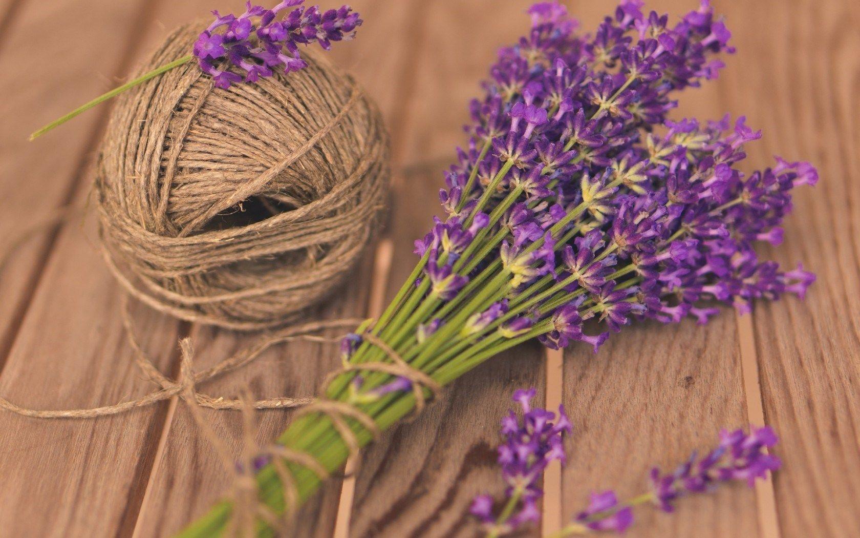 Mood Flowers Lavender Purple HD Wallpaper Desktop Background Free