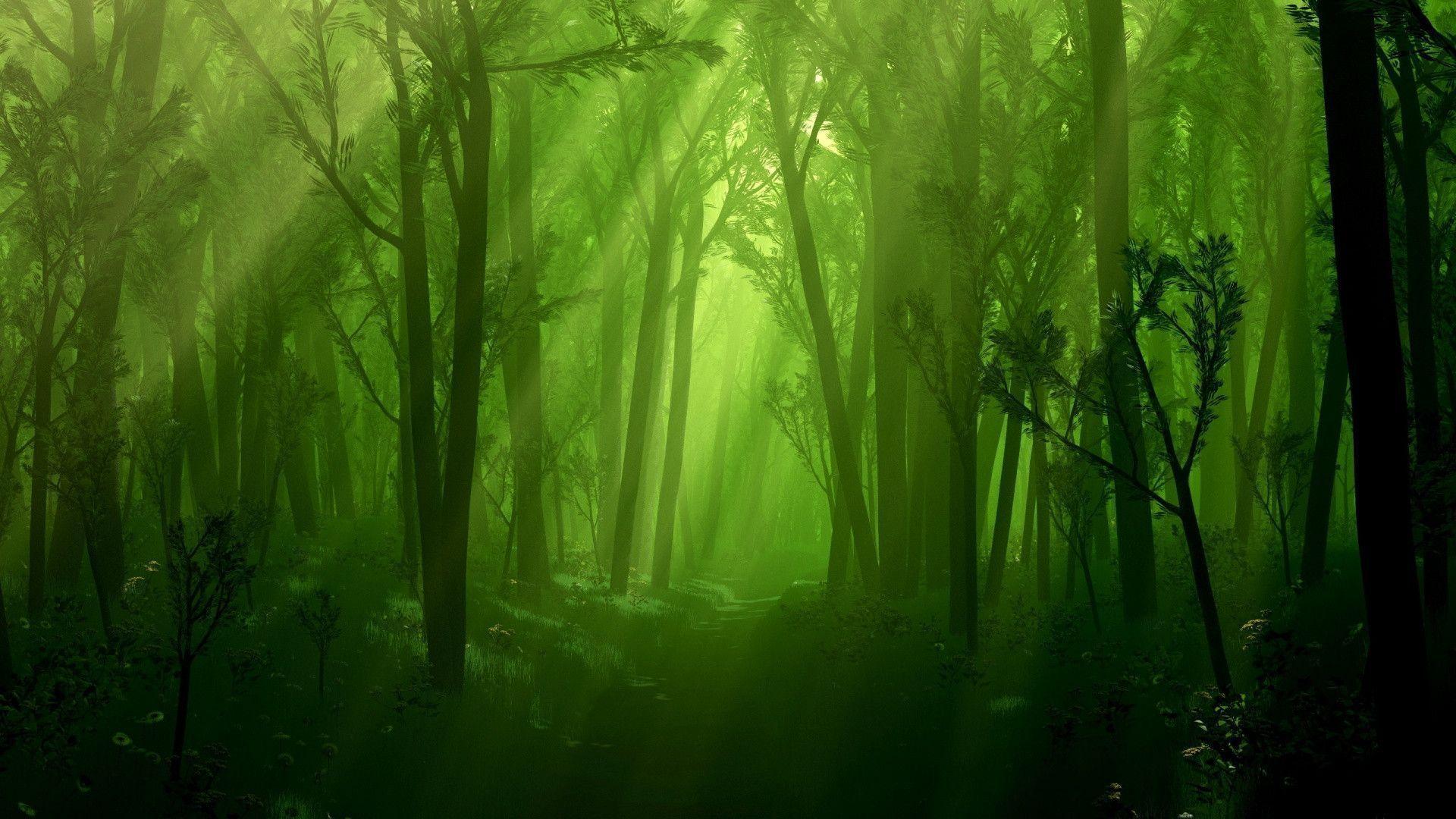Dark Forest Wallpapers - Wallpaper Cave