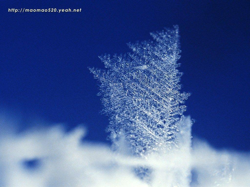 Glittering Wallpapers Wallpaper Cave