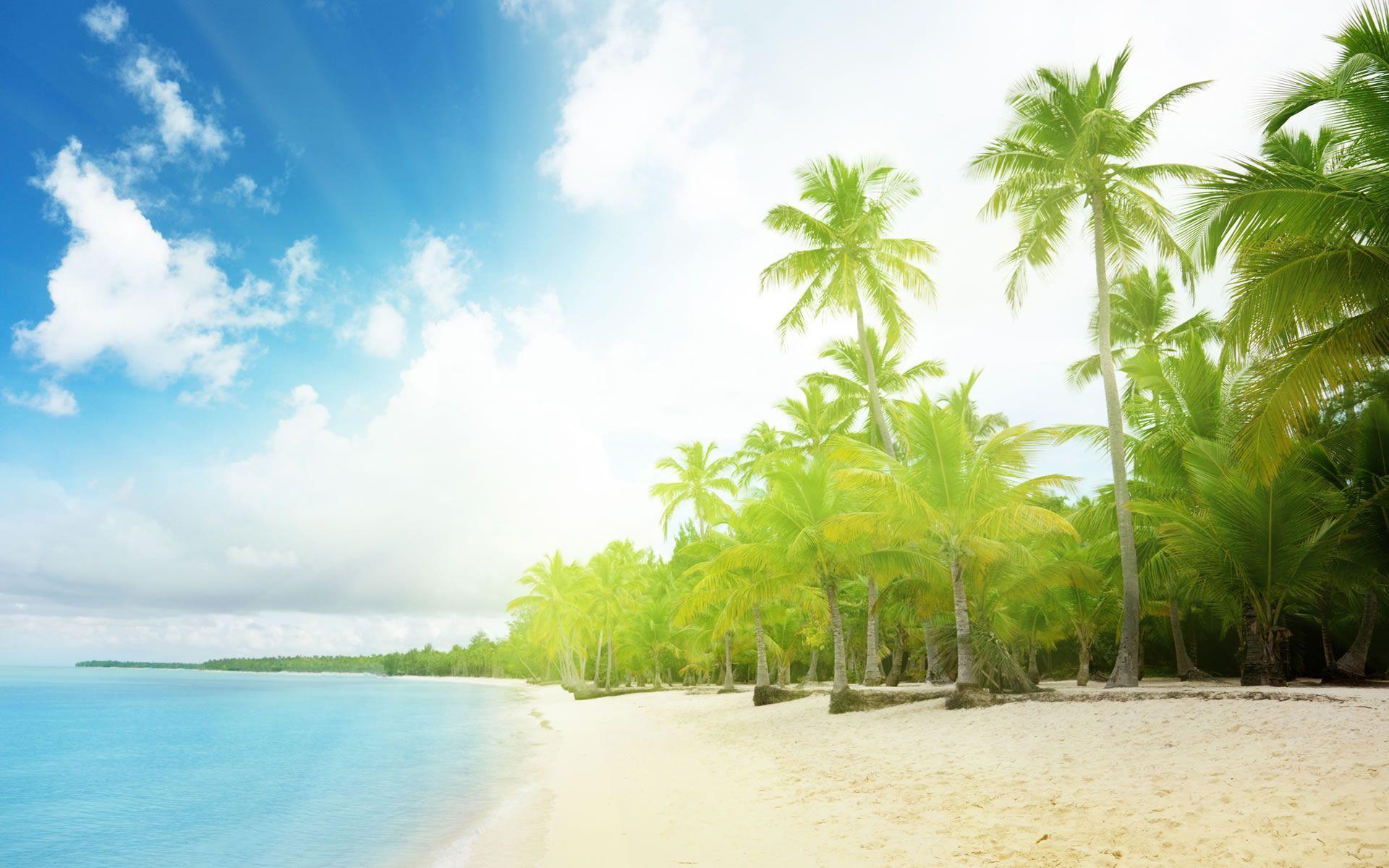 Summer Background Image & Picture