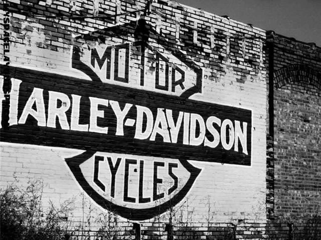 Harley Davidson Wallpaper and Picture Items