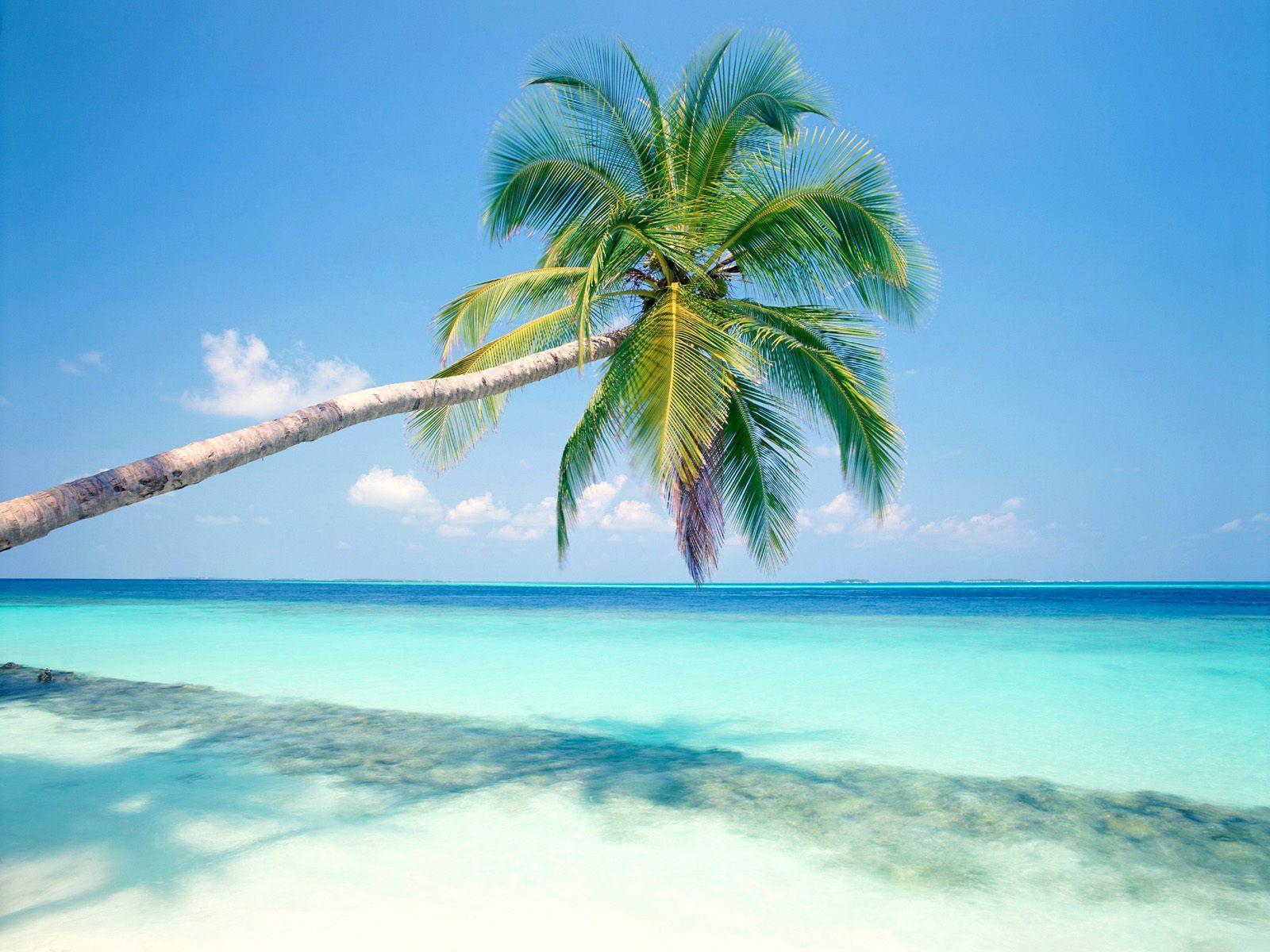 Free Desktop Wallpaper Tropical Islands
