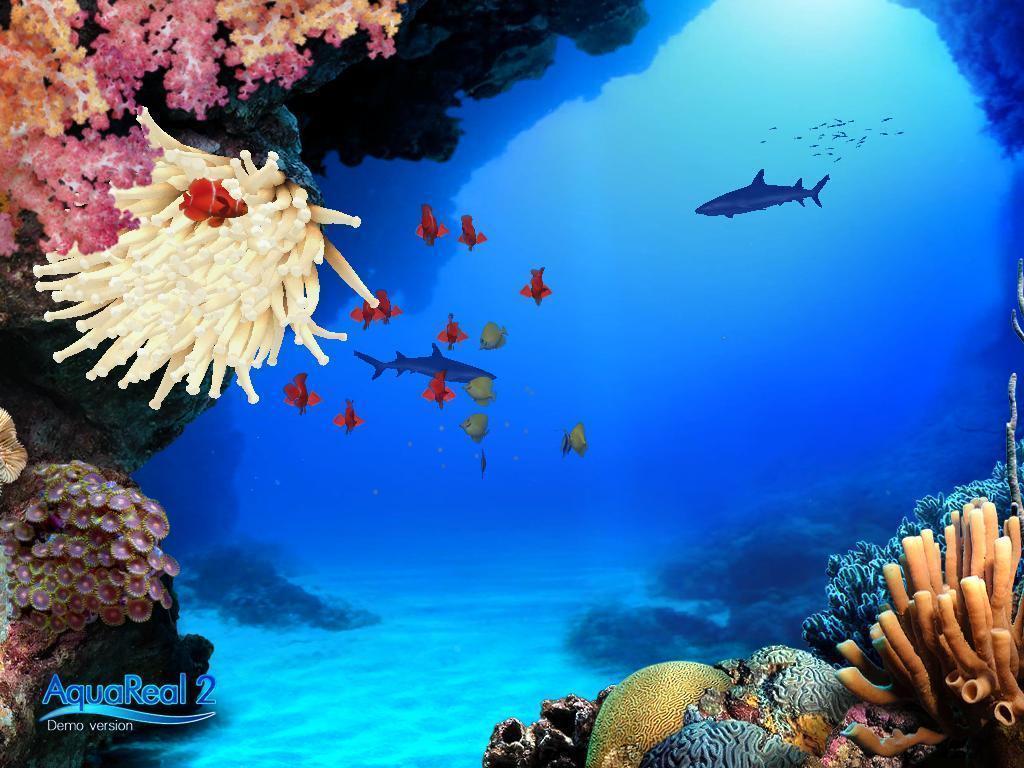 Aquarium Wallpaper Background free Aquarium aquarium