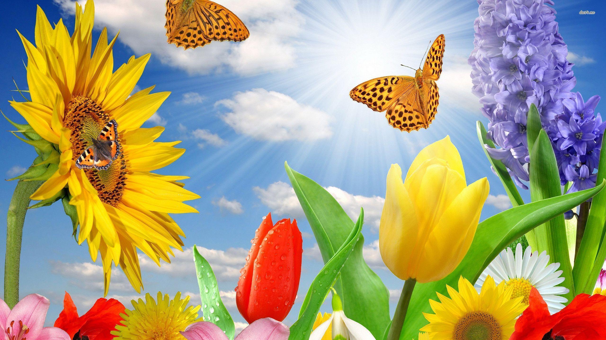 Spring Flowers And Butterflies Background Widescreen 2 HD