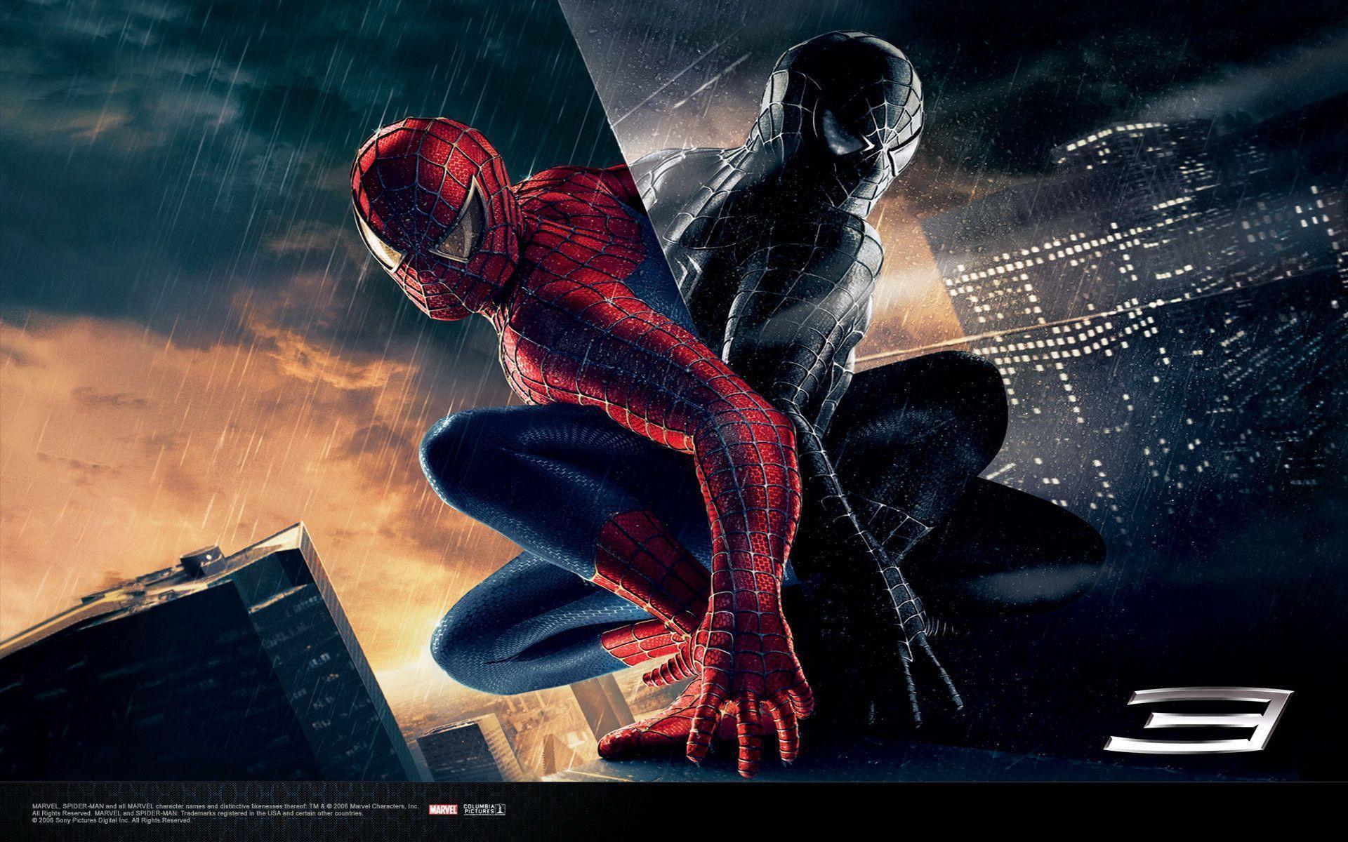 Spiderman 3 Wallpaper HD wallpaper search